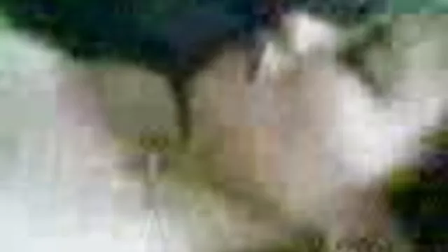 ლესბო, პირში აღება